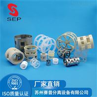 DN16/DN25/DN38/DN50/DN76化工干燥塔陶瓷鲍尔环填料