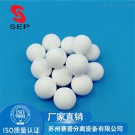 高铝瓷球 鲍尔环填料