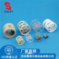 耐化学腐蚀陶瓷鲍尔环 鲍尔环填料