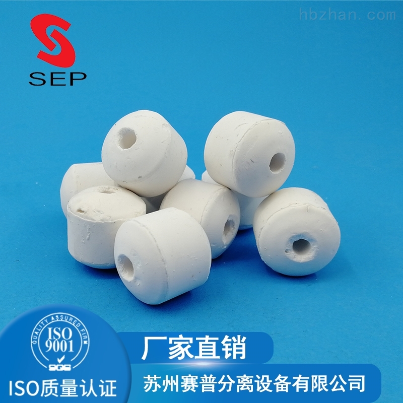 开孔瓷球 鲍尔环填料