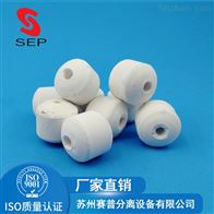 开孔瓷球 鲍尔环填料