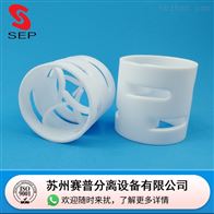 DN76mmDN76*76*5四氟鲍尔环填料