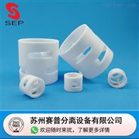 直径25四氟鲍尔环全新料